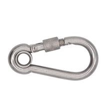 Stainless Steel Locking Snap Hook Carabiner